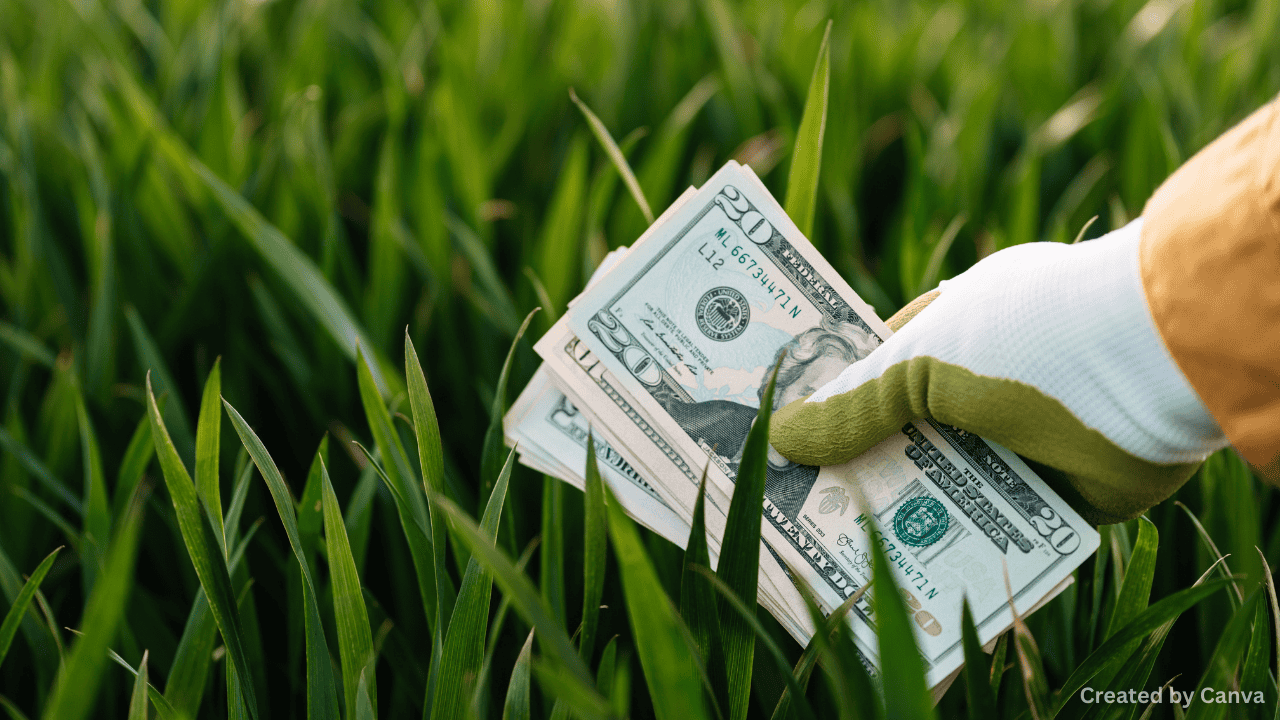 Is Universal Basic Income a Sustainable Policy?