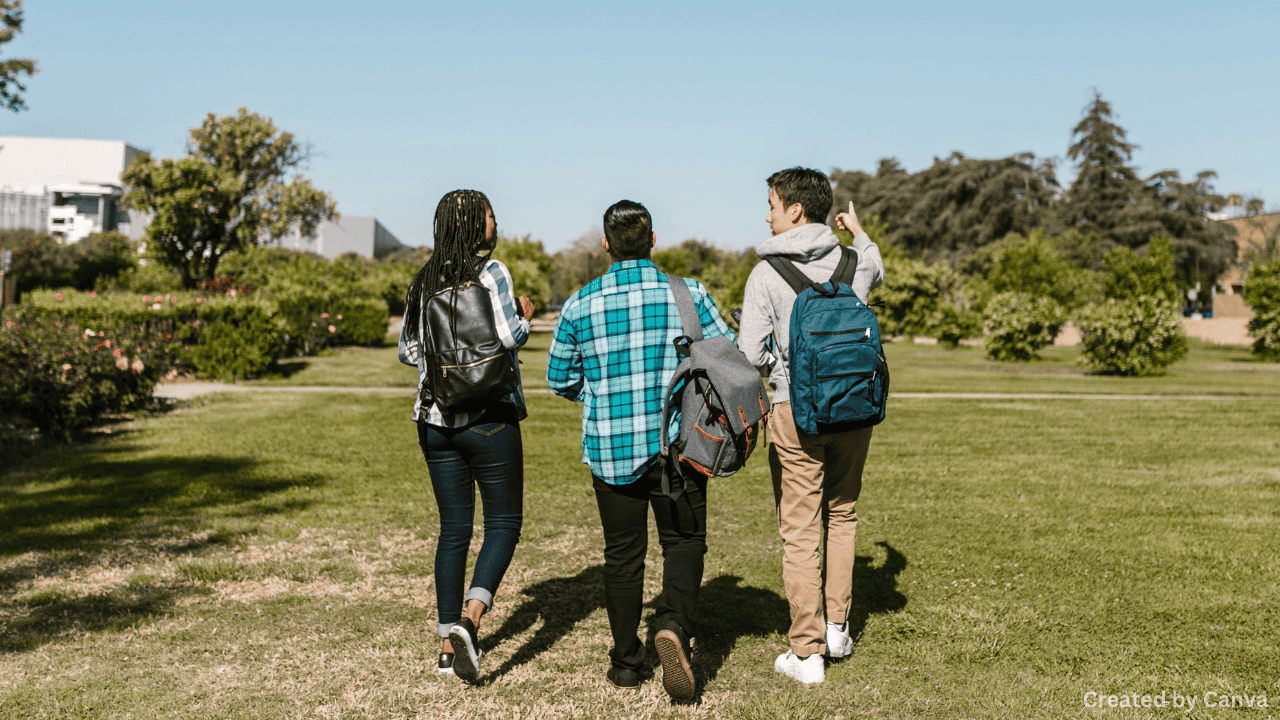 Middle-Ground Approaches