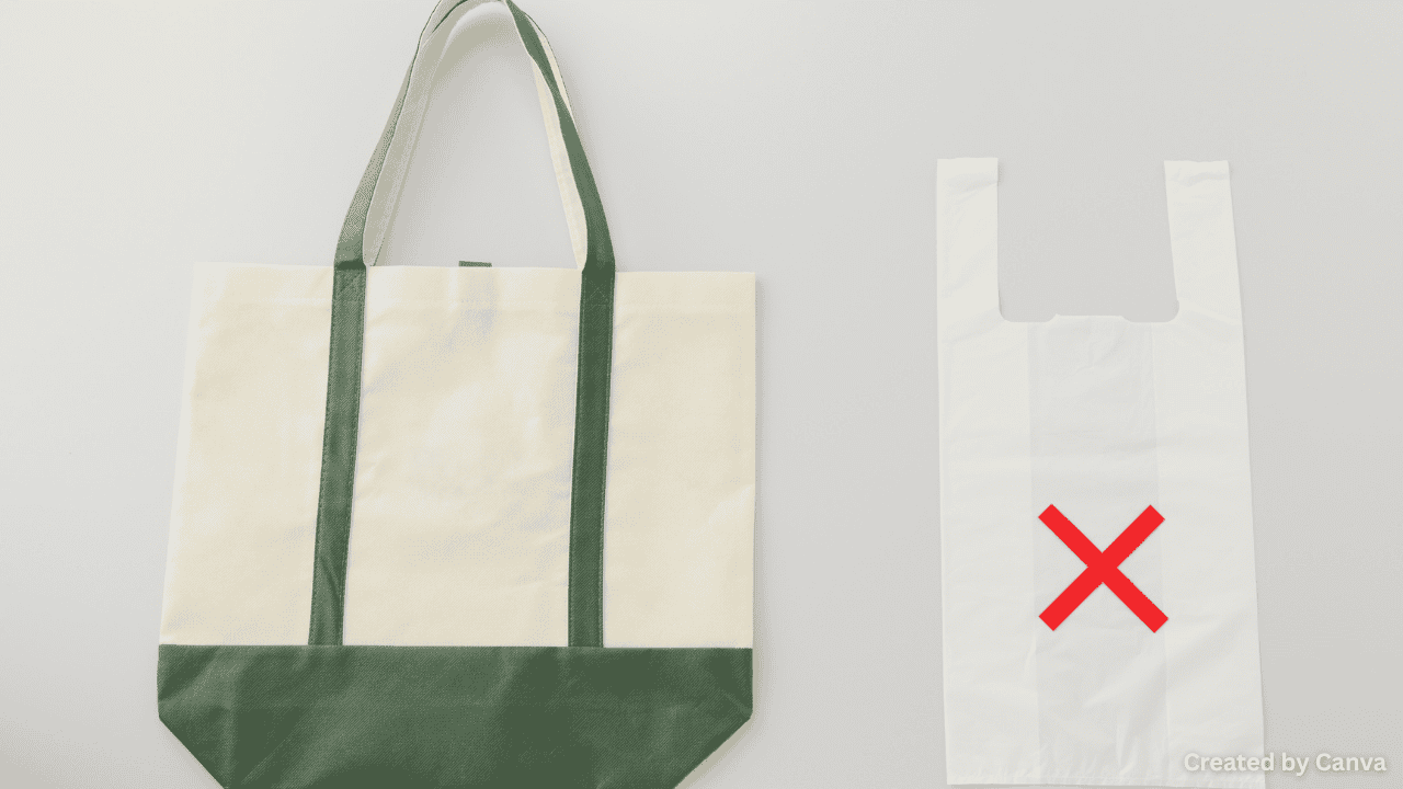 Should Plastic Bags Be Banned Everywhere?