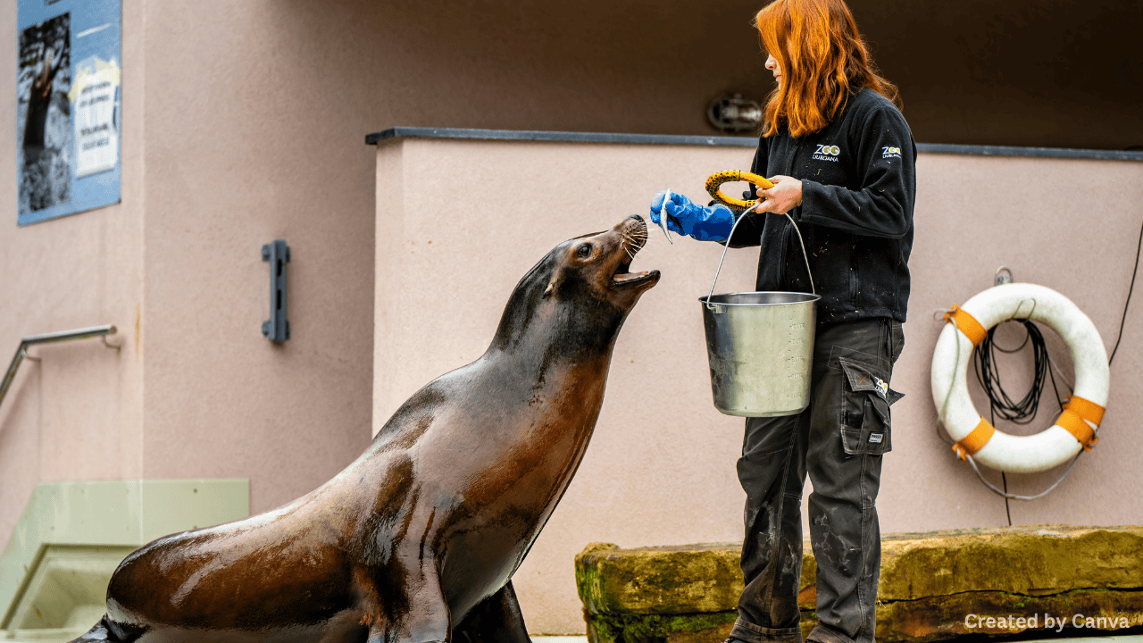 Should Zoos Be Shut Down Worldwide?