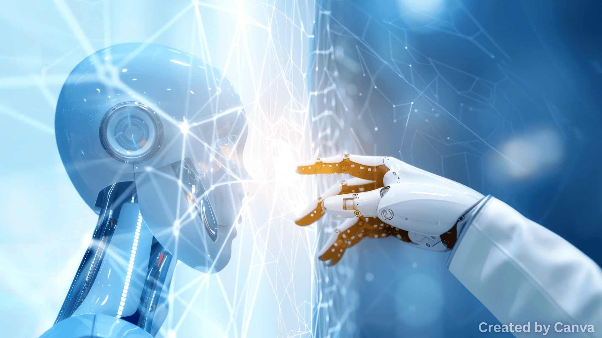 The Drawbacks of AI Driving