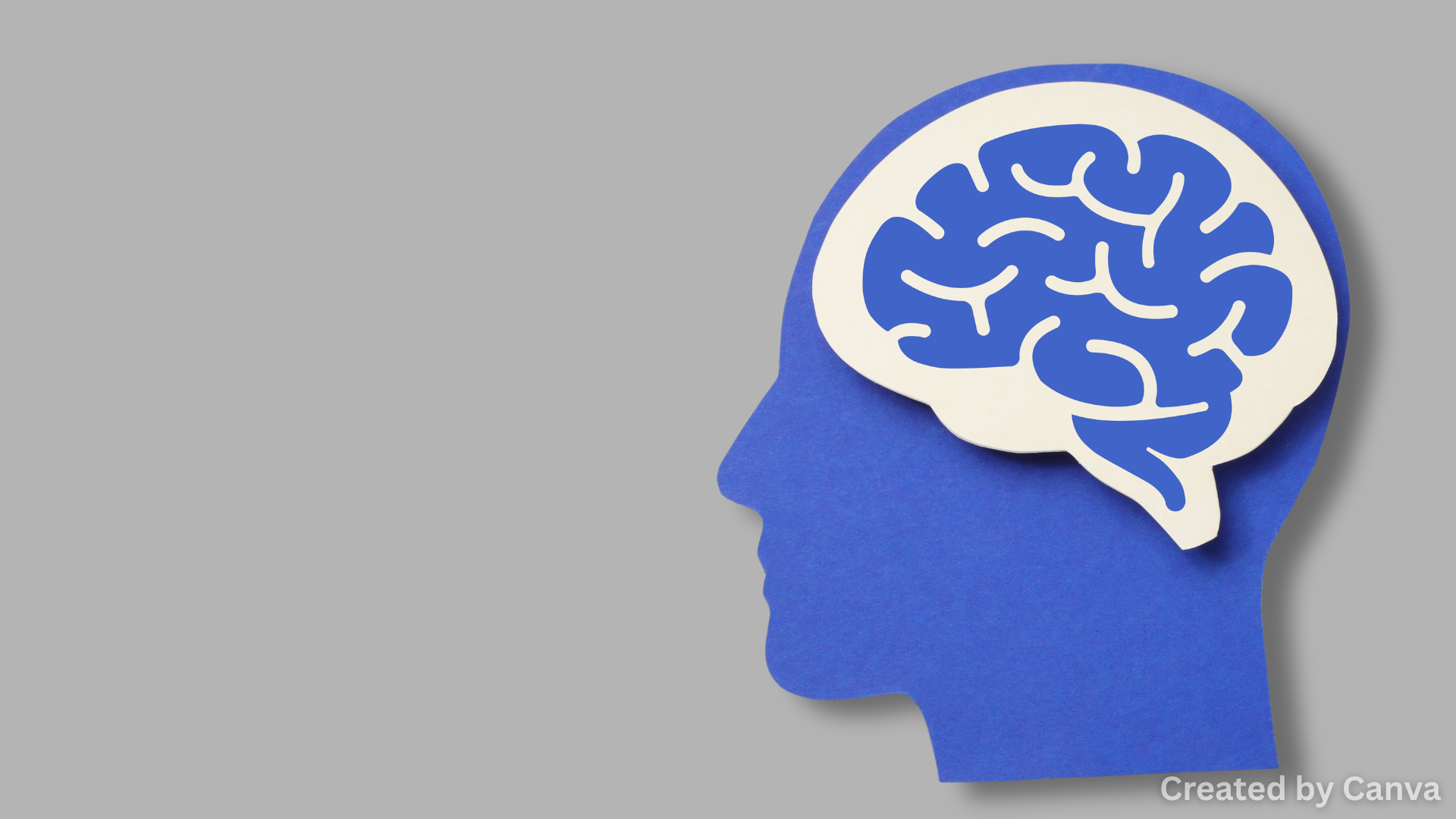 In the World of Brain Simulation